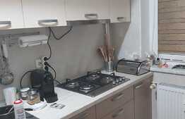 Apartament 2 camere, 49 mp, recent mobilat, Nicolae Grigorescu