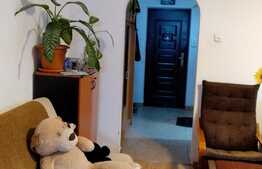 Apartament de 3 camere, Theodor Pallady - Ozana