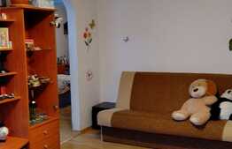 Apartament de 3 camere, Theodor Pallady - Ozana