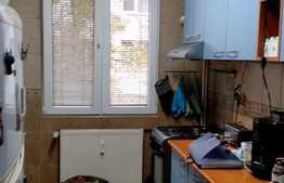 Apartament de 3 camere, Theodor Pallady - Ozana