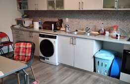 Vila clasica, 4 camere, zona linistita, Domenii