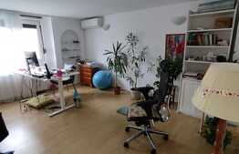 Vila clasica, 4 camere, zona linistita, Domenii