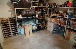 Vila clasica, 4 camere, zona linistita, Domenii