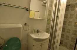 Vila clasica, 4 camere, zona linistita, Domenii