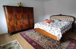 Vila clasica, 4 camere, zona linistita, Domenii