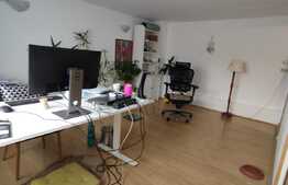 Vila clasica, 4 camere, zona linistita, Domenii