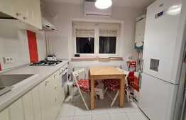 Garsoniera Nicolae Teclu. Ready to Move!