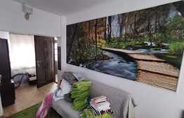 Exclusivitate! Casă de vacanță / Pensiune 4 camere, în centrul stațiunii Băile Olănești, Vâlcea