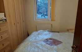 Apartament 2 camere, decomandat, zona linistita, Teiul Doamnei