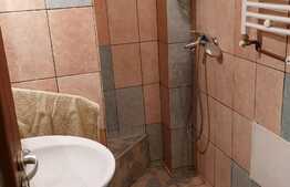 Apartament 2 camere, decomandat, zona linistita, Teiul Doamnei