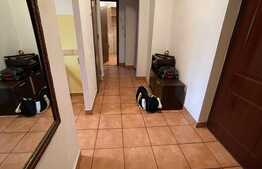 Apartament 2 camere, decomandat, 54 mp, vedere pe parcul Circului