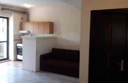 Garsoniera de 30 mp, gata de mutat!