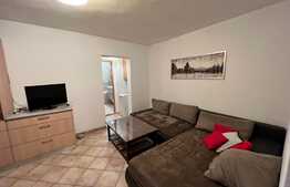 Apartament cu 3 camere, primitor, priveliste de ansamblu, zona Polonă