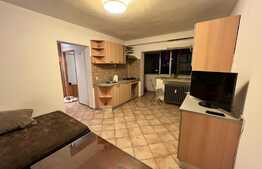 Apartament cu 3 camere, primitor, priveliste de ansamblu, zona Polonă