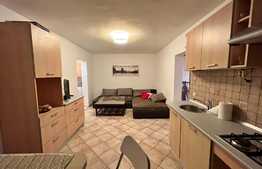 Apartament cu 3 camere, primitor, priveliste de ansamblu, zona Polonă