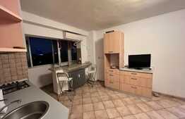 Apartament cu 3 camere, primitor, priveliste de ansamblu, zona Polonă