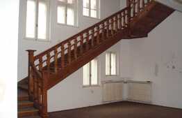 Casă de exceptie, 16 camere, 1000 mp, arhitectură unică, zona Ultracentrala!