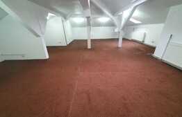 Vila deosebita, consolidata si renovata, 470 mp, curte 106 mp, Universitate-Batistei