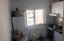 Apartament 3 camere deosebit in zona Calea Mosilor
