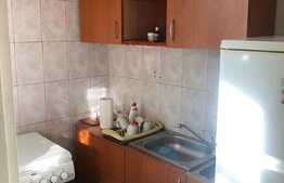 Garsoniera de 28 mp, zona Costin Georgian