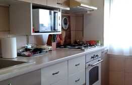 Apartament de 2 camere, izolat termic, partial mobilat, Mihai Bravu