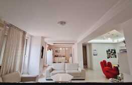 Penthouse superb, 3 camere, 115 mp, Plevnei