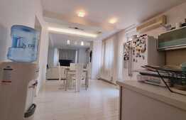 Penthouse superb, 3 camere, 115 mp, Plevnei