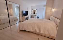 Penthouse superb, 3 camere, 115 mp, Plevnei