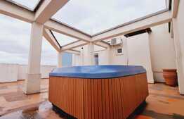 Penthouse superb, 3 camere, 115 mp, Plevnei