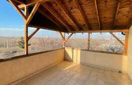 Apartament de 2 camere, 102 mp, 2 terase, imobil nou, Chitila