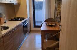 Apartament 2 camere, 49.5 mp utili, terasa 6 mp, Greenfield