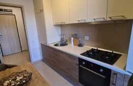 Apartament 2 camere, 49.5 mp utili, terasa 6 mp, Greenfield