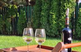 Vila ideala si spatioasa, 6 camere, Pipera!