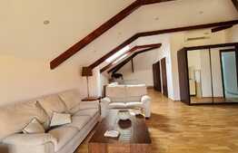 Vila ideala si spatioasa, 6 camere, Pipera!