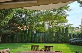 Vila ideala si spatioasa, 6 camere, Pipera!