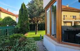 Vila ideala si spatioasa, 6 camere, Pipera!