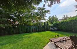 Vila ideala si spatioasa, 6 camere, Pipera!