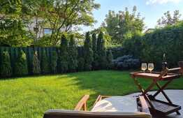 Vila ideala si spatioasa, 6 camere, Pipera!