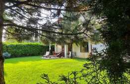 Vila ideala si spatioasa, 6 camere, Pipera!