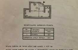 Apartament elegant de 3 camere în vilă, luminos și amenajat recent, 1 Mai