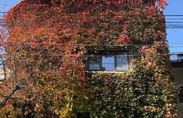 Apartament elegant de 3 camere în vilă, luminos și amenajat recent, 1 Mai