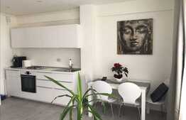 Apartament 2 camere, terasa 33 mp, zona Pipera