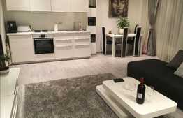 Apartament 2 camere, terasa 33 mp, zona Pipera