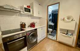 Oportunitate investitie! Garsonieră 36 mp, zona Alba Iulia