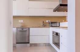 Penthouse 3 camere, 150 mp, 2 locuri de parcare, Herastrau! 