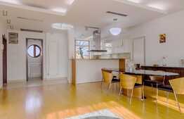 Penthouse 3 camere, 150 mp, 2 locuri de parcare, Herastrau! 