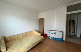 Apartament de 2 camere, 80 mp, zona excelentă, Tineretului 