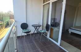 Studio de 45 mp, terasa, luminos, Pipera