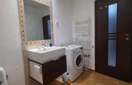 Studio de 45 mp, terasa, luminos, Pipera