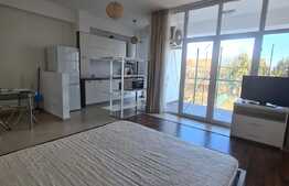 Studio de 45 mp, terasa, luminos, Pipera